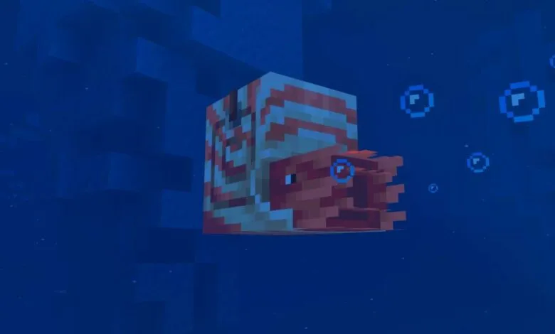 A pixelated nautilus creature swims in a deep blue underwater environment in Minecraft.