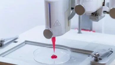 Scientists Develop 3D-Printed Skin That Can Circulate Blood