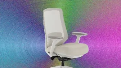 The Secret to Pain-Free Workdays: Lumbar Support Explained