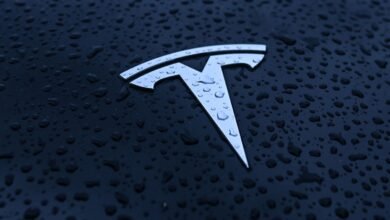 Tesla Fights $243M Autopilot Death Verdict in Court