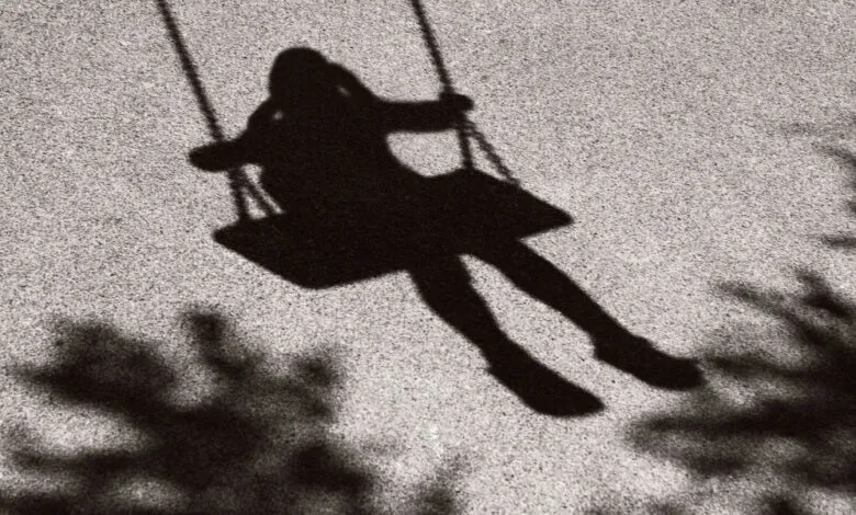 Shadow of a child on a swing set, cast on textured ground with surrounding foliage shadows.