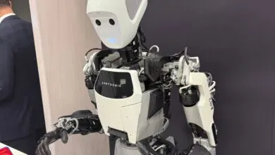 Humanoid Robot Bubble Will Burst, Warns Top Roboticist