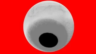 Inside China’s Propaganda and Surveillance Machine