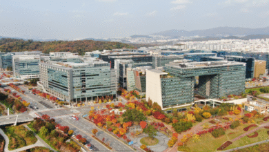 Aerial view of Pangyo Techno Valley in South Korea, showcasing modern architecture and autumn foliage.