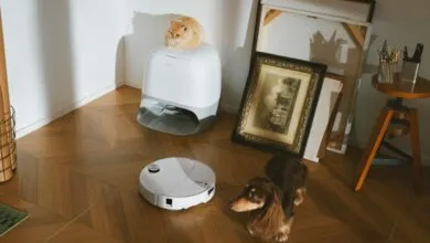 Roborock Curv 2 Pro: Automatically Lifts Mop to Protect Carpets