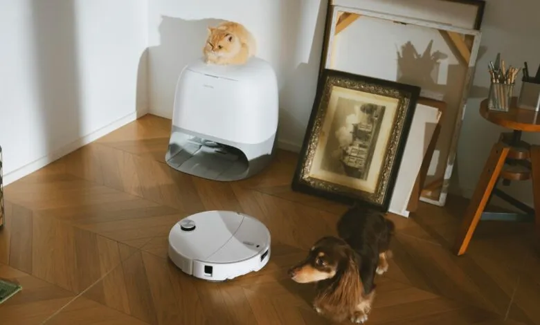 A ginger cat sits atop a white robotic vacuum base, while a dachshund looks curiously at a robot vacuum cleaner on a hardwood floor.