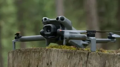 A gray DJI Mini 5 Pro drone rests on a moss-covered wooden stump in a forest.