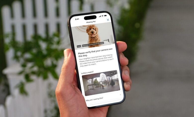 Person holding a smartphone displaying a 'Missing Pet' alert for a dog named Curly.