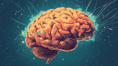 Stylized illustration of a human brain with vibrant orange and teal colors against a dark blue background.