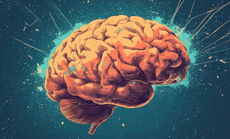 Stylized illustration of a human brain with vibrant orange and teal colors against a dark blue background.