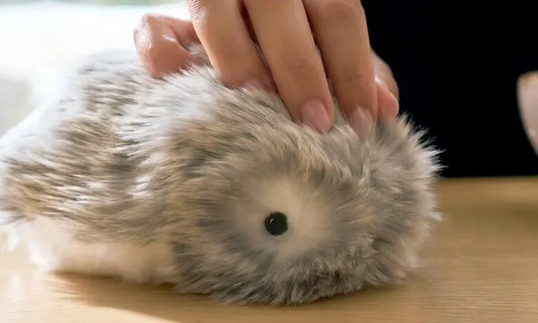 Close-up of a hand petting a fluffy, gray and white robotic pet.