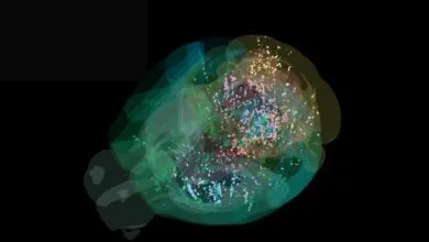 Abstract art depicting a colorful nebula or brain structure with translucent layers and scattered particles against a black background.