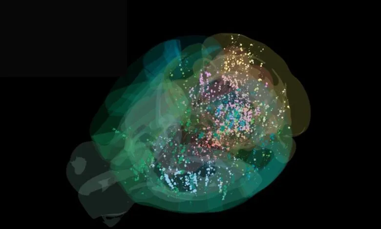 Abstract art depicting a colorful nebula or brain structure with translucent layers and scattered particles against a black background.