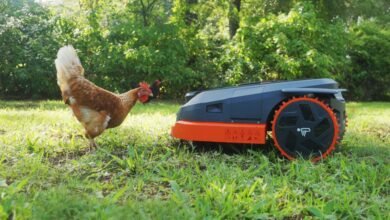 Inside a Smart Home Expert's Backyard Setup