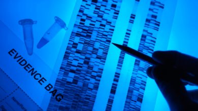 DNA evidence analysis: Close-up of DNA sequencing results, microtubes, and evidence bag, illuminated in blue light.