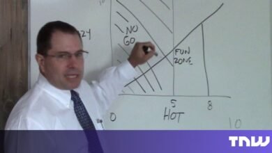The Hot Crazy Matrix: Why Investors Misjudge Tech Deals