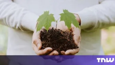 The Climate Transition Is Now in Our Hands