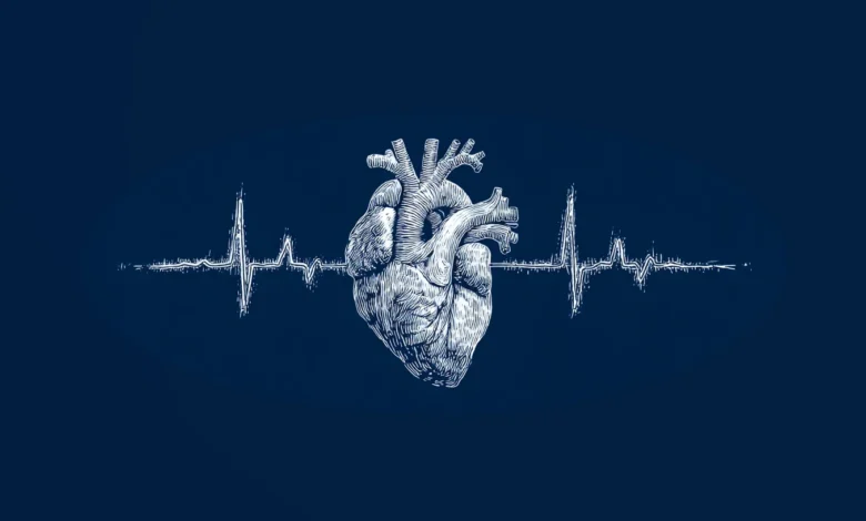 Detailed anatomical heart drawing with ECG heartbeat line, on a dark blue background.