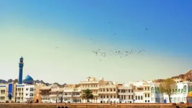 Oman Launches First AI Zone to Attract Global Tech Start-ups