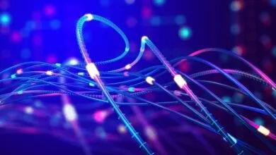 Telecom Egypt Boosts Regional Reach with Aqaba Hub & Coral Bridge Cable