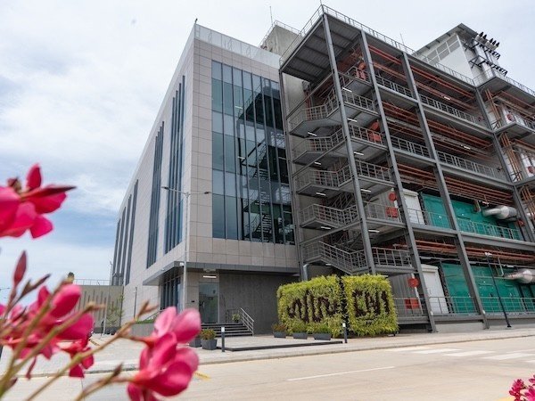 Modern building with glass facade and exterior mechanical equipment, plants in foreground.