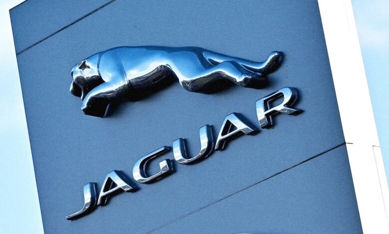 Close-up of the Jaguar logo on a building, featuring a leaping jaguar and the word 'Jaguar' in chrome lettering.