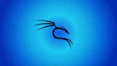 Black Kali Linux dragon logo on a blue gradient background.