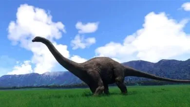 Fly Over Jurassic World in Orbx’s Flight Simulator DLC