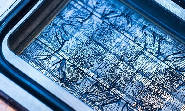 Close-up of a microfluidic chip with intricate blue patterns resembling veins or circuitry.