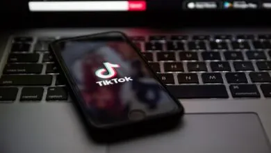 TikTok’s New Travel Ads Target Trip Planners