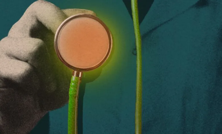 Close-up of a hand holding a stethoscope with a glowing, orange-toned diaphragm against a teal background.