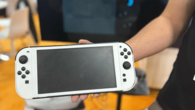 Nintendo Settles With Accessory Maker Over Leaked Switch 2 Mockups
