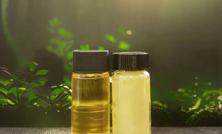 Two small bottles of yellow oil and cream sit on a surface with a blurred green background.