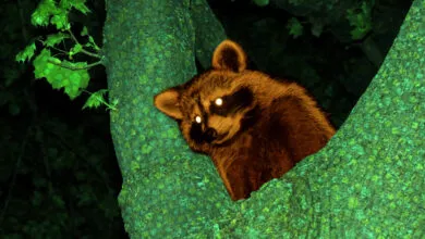 Modder Adds AI Dialogue to Animal Crossing via Memory Hack