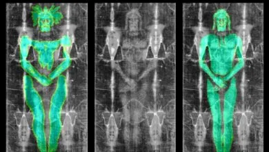 6 Science Breakthroughs You Might Have Missed