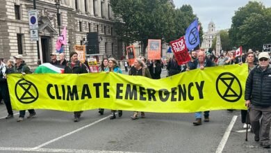 Critics Slam US-UK AI Deal as 'Naive' Amid Protests