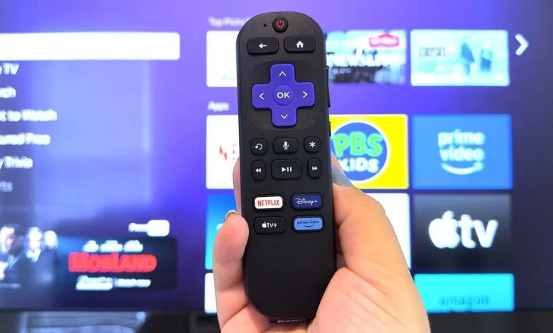 Hand holding a Roku remote control in front of a smart TV screen displaying streaming service icons.