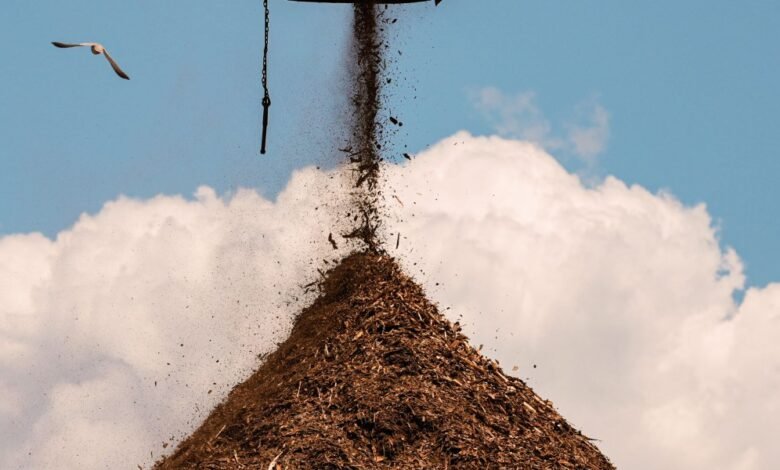 A seagull flies past a pile of wood chips being dumped from a conveyor belt against a blue sky.