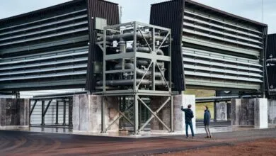 Carbon Removal Funding Slashed as AI Toys Emerge