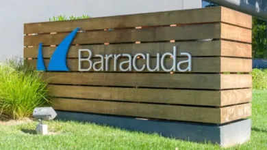 Barracuda company sign with blue shark fin logo on wooden slatted structure.