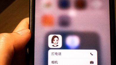 ByteDance's Quiet AI Chatbot Is Winning Global Fans