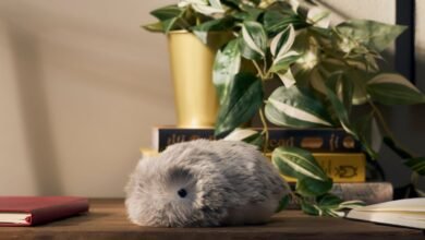 Casio's Adorable AI Robot Won Me Over