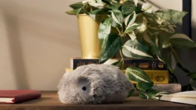 Casio’s Adorable AI Robot Won Me Over