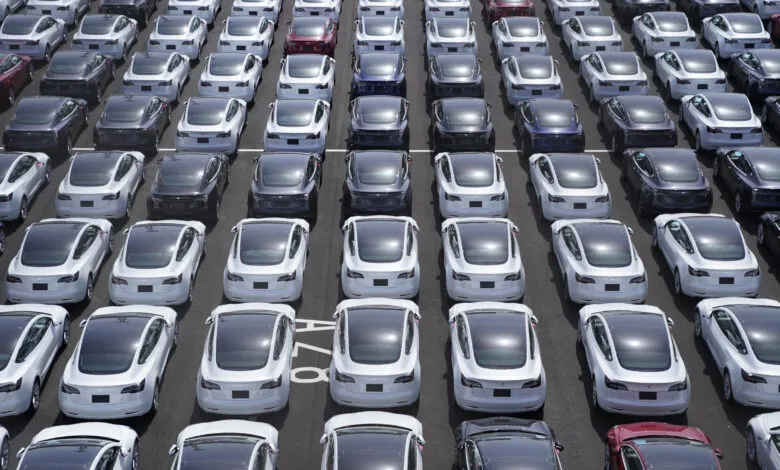 Rows of white Tesla Model 3 cars parked closely together at a port.