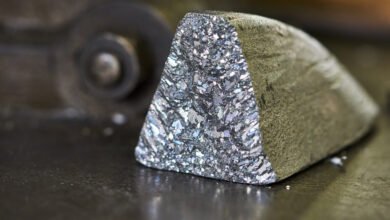 Ancient Hominins Showed Signs of Lead Poisoning 2 Million Years Ago