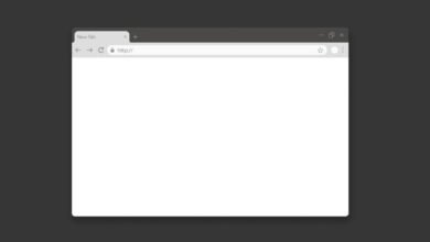 A blank Google Chrome browser window with a new tab open.