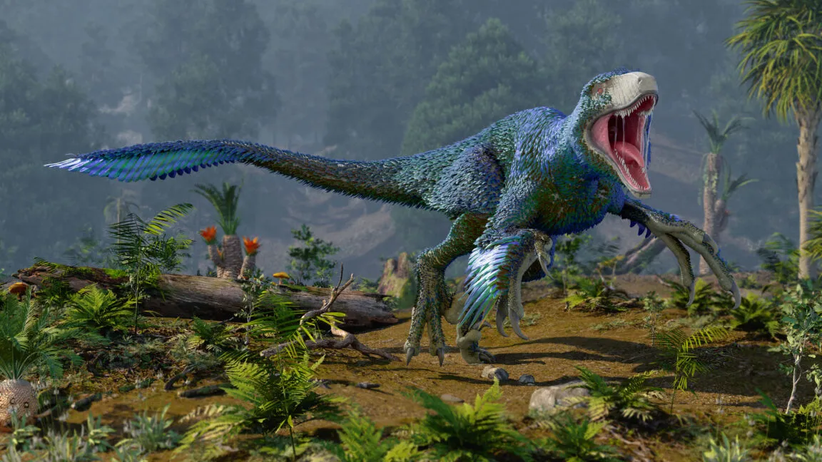 A Dakotaraptor dinosaur with vibrant blue and green iridescent feathers, roaring in a prehistoric forest.