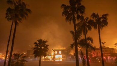 Silent Sound: The Next Frontier in Wildfire Defense