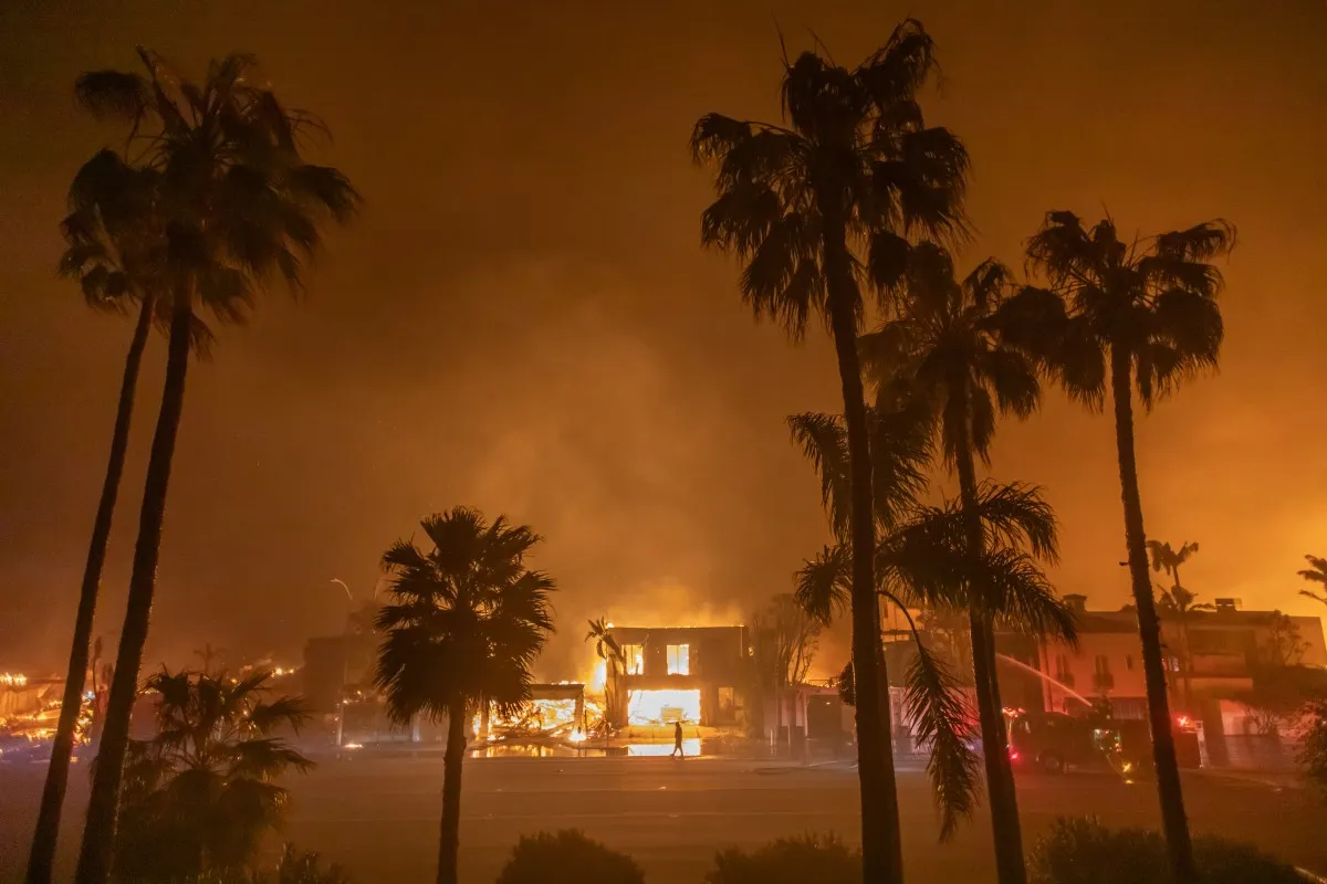 Silhouetted palm trees frame a building engulfed in flames at night, with smoke and orange light filling the sky.
