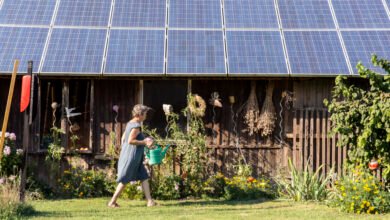 Lawsuit Challenges EPA's $7 Billion Solar Program Cut